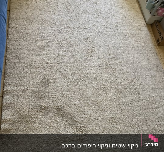 שטיח בהיר עם כתמים כהים על הרצפה